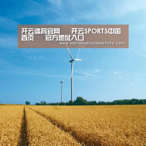 风能