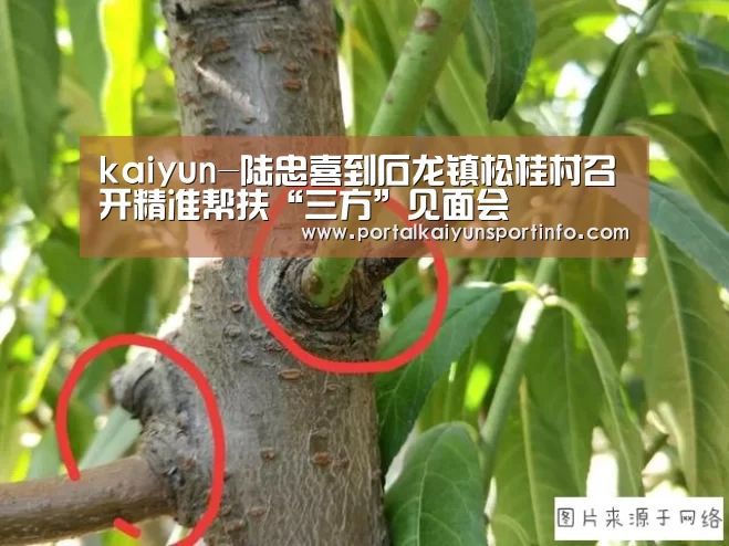 开云官网