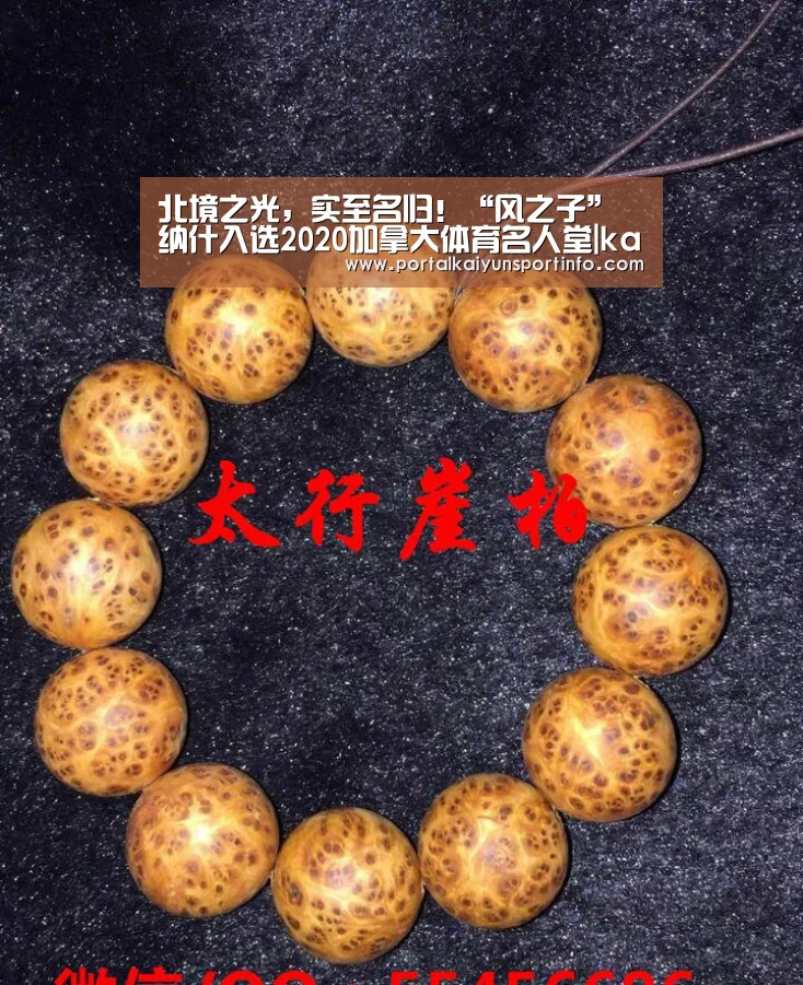 北境之光,实至名归!“风之子”纳什入选2020加拿大体育名人堂|kaiyun(图2) 开云体育