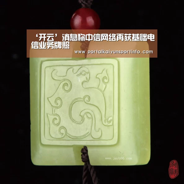 ‘开云’消息称中信网络再获基础电信业务牌照(图1)