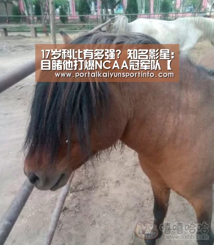17岁科比有多强? 知名影星:目睹他打爆NCAA冠军队【开云体育】(图2) 开云