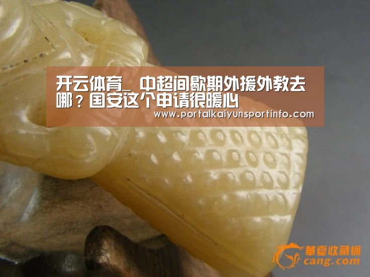 开云体育_
中超间歇期外援外教去哪?国安这个申请很暖心(图1) 开云官网