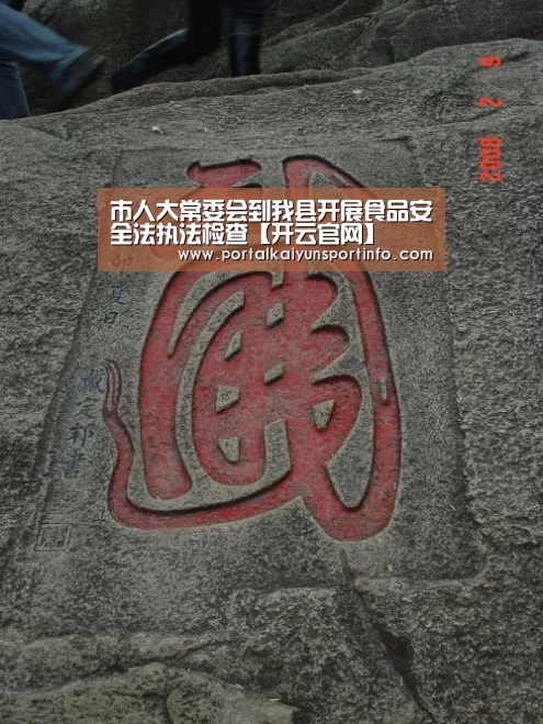 市人大常委会到我县开展食品安全法执法检查【开云官网】(图2) 开云体育