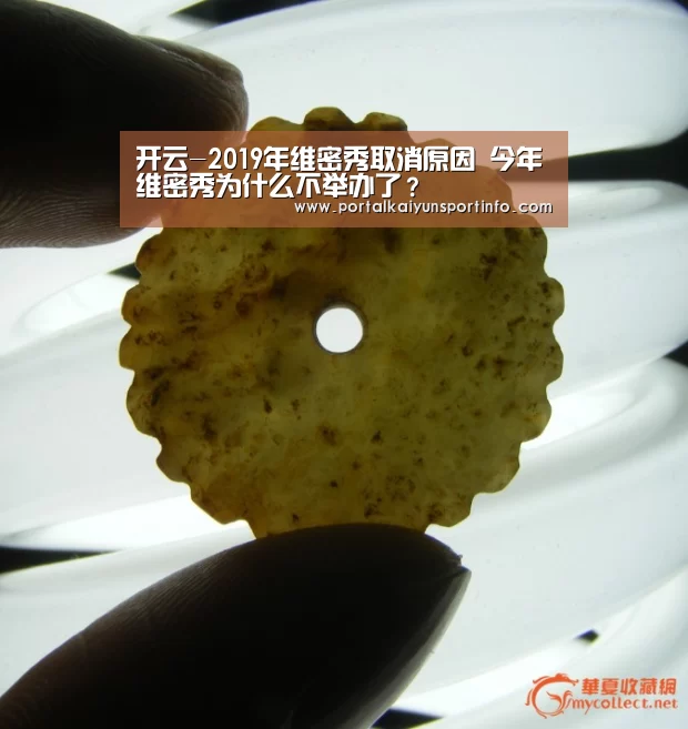 开云-2019年维密秀取消原因 今年维密秀为什么不举办了?(图2) 开云
