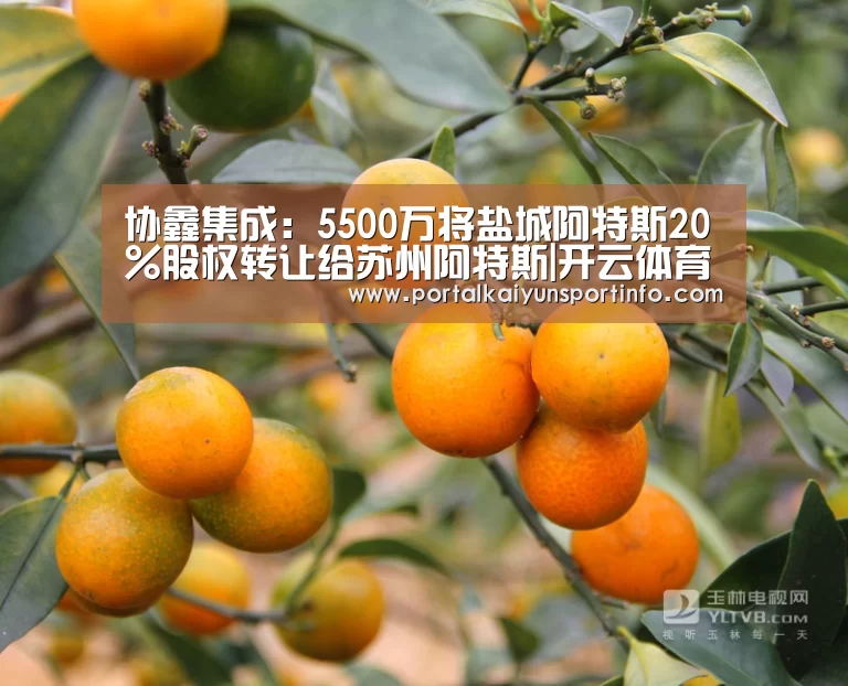 协鑫集成:5500万将盐城阿特斯20%股权转让给苏州阿特斯|开云体育(图1) 协鑫集成:5500万将盐城阿特斯20%股权转让给苏州阿特斯|开云体育(图1)