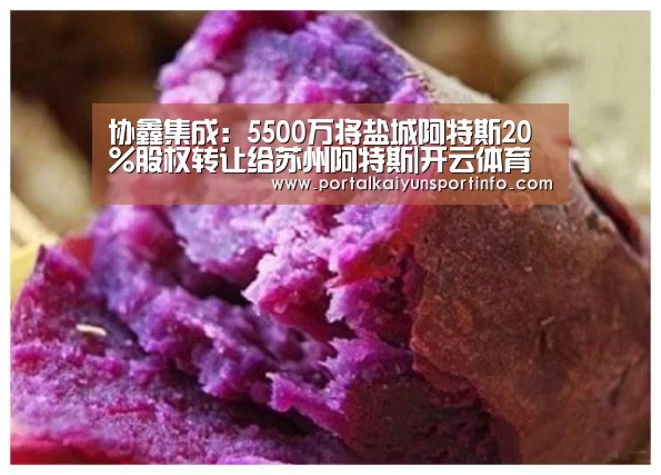 协鑫集成:5500万将盐城阿特斯20%股权转让给苏州阿特斯|开云体育(图3) 开云