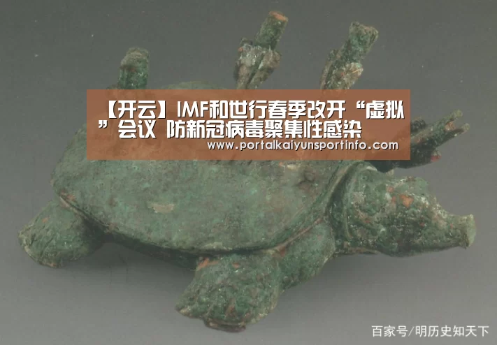 【开云】IMF和世行春季改开“虚拟”会议 防新冠病毒聚集性感染(图3) 开云