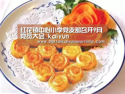 红花镇中心小学党支部召开9月党员大会_kaiyun(图1) 开云体育