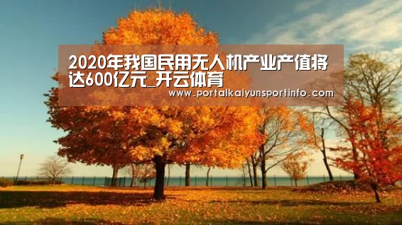 开云体育