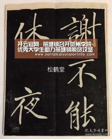 开云官网-燕塘镇召开贺州学院优秀大学生助力燕塘镇脱贫攻坚工作业务培训会(图4) 开云