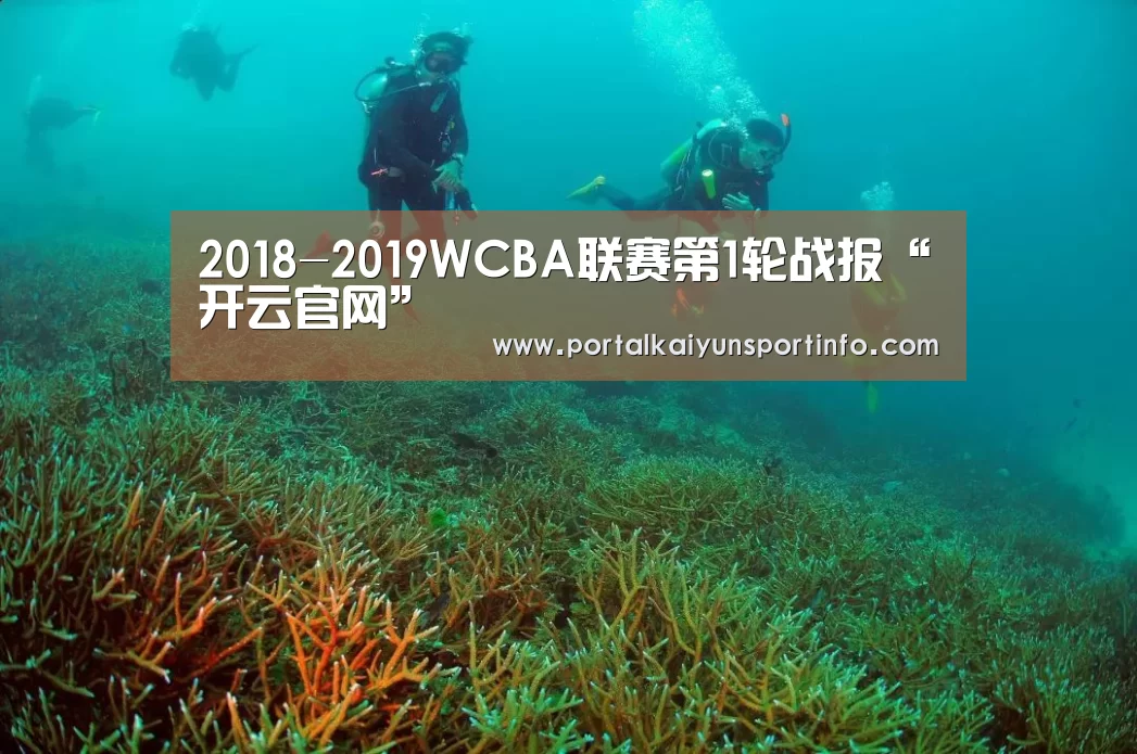 2018-2019WCBA联赛第1轮战报“开云官网”(图2) 2018-2019WCBA联赛第1轮战报“开云官网”(图2)